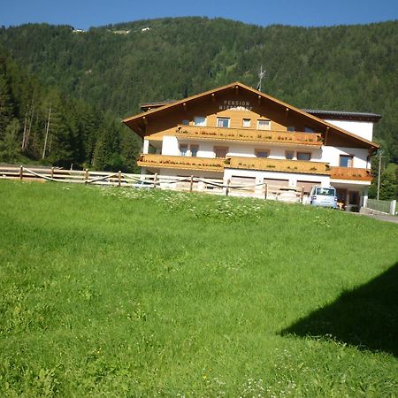 Pension Wiesenhof Campo di Trens Exterior photo
